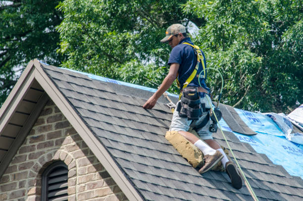 Best Gutter Installation and Roofing  in Dennison, OH